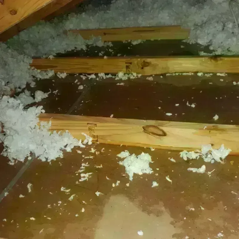 Attic Water Damage in Brandon, SD