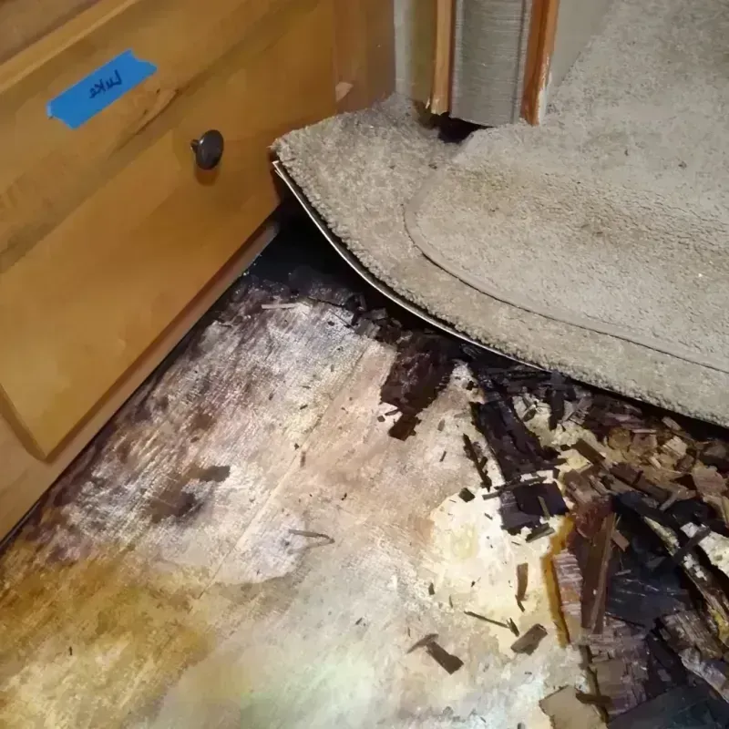 Wood Floor Water Damage in Brandon, SD